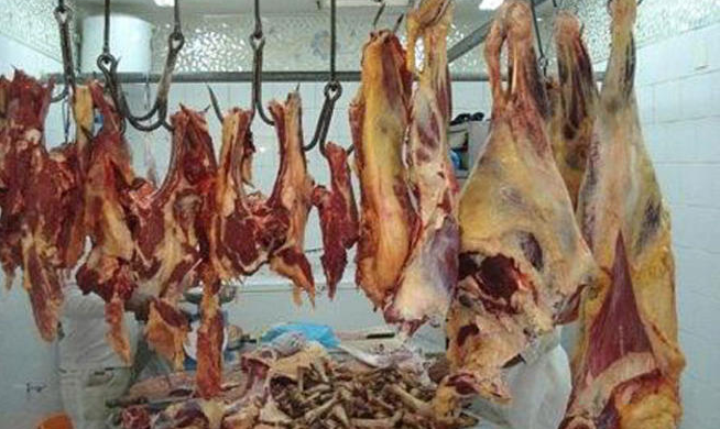 إتلاف 350 كغم لحوم غير صالحة للاستهلاك الآدمي اتلاف لحوم