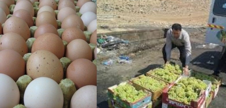 صورة توضيحية