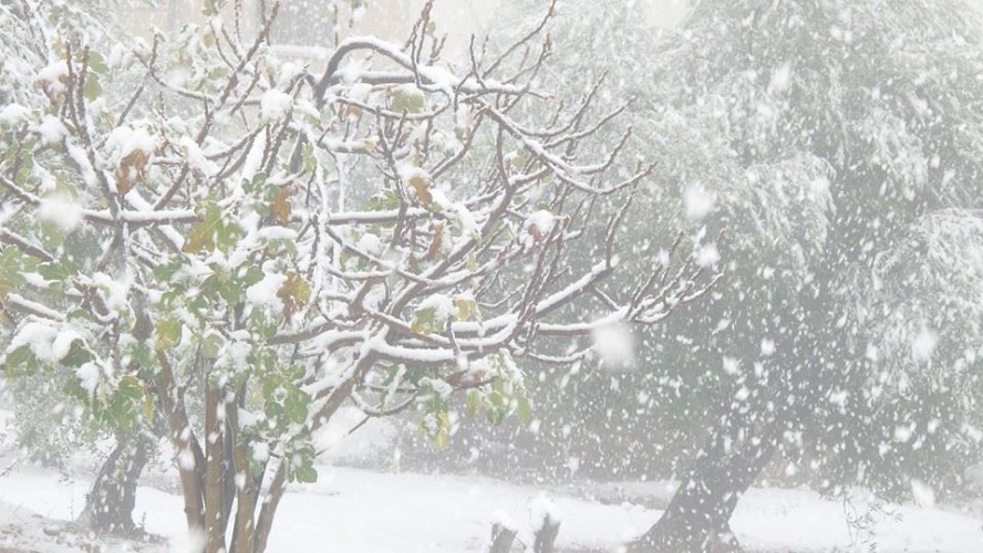 الأمطار تعود مجدداً غداً وثلوج متوقعة تساقط الثلوج