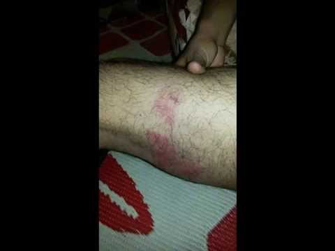 القبض على 6 أشخاص خطفوا مواطناً وعذبوه بالخليل اعتقال