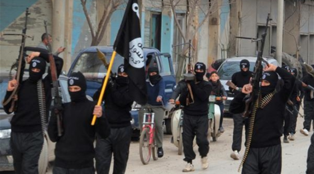إسرائيل: حماس مرعوبة من داعش ونحن قلقون ونستعد إسرائيل مرعوبة من داعش