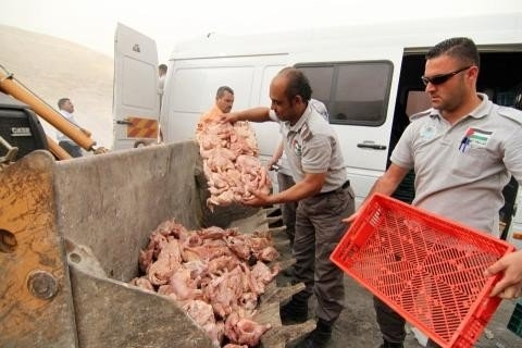 اتلاف 2625 كيلو من الدجاج المهرب في طولكرم اتلاف لحوم