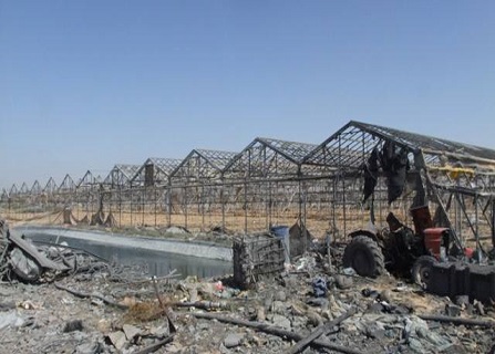 قريبًا.. إعفاء المزارعين من ضريبة الدخل قريبًا.. إعفاء المزارعين من ضريبة الدخل