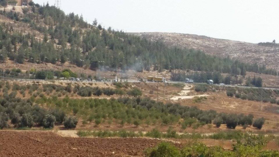 الاحتلال يطرد مزارعا وعائلته من أرضهم في بيت أمر ارض