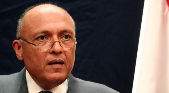 مصر: لا يوجد تعديل على المبادرة المصرية سامح شكري