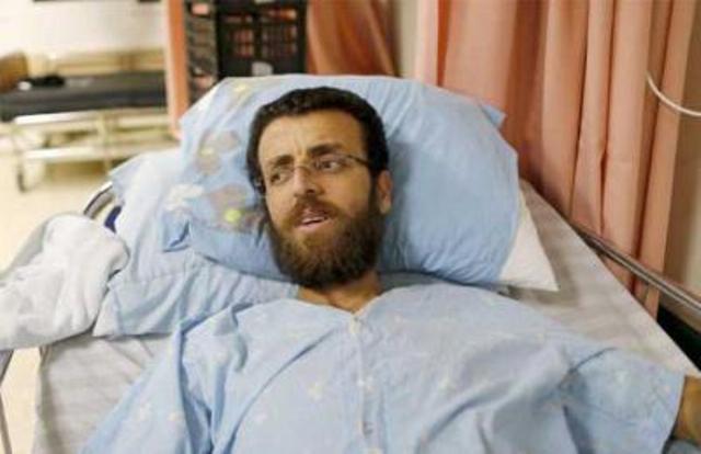 محمد القيق