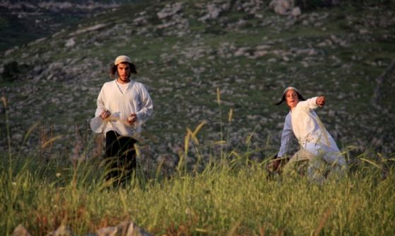 مستوطنون يعتدون على مواطنة غرب سلفيت