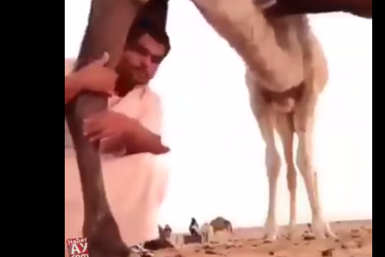 منوعات
