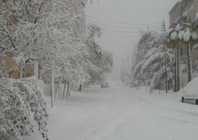 اخبار الثلوح