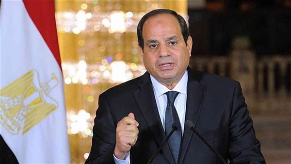 السيسي: نواصل السعي لتثبيت وقف النار في غزة وتنفيذ كافة مراحله