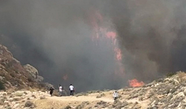 حريق ضخم في وادي القلط بين أريحا والقدس... مئات المتنزهين في المنطقة