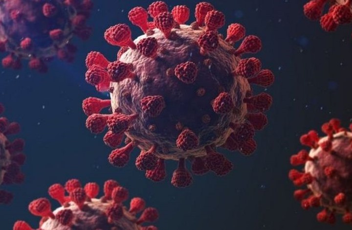 دراسة: مرضى كورونا لديهم مناعة 6 أشهر ضد الفيروس