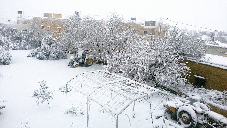 شاهد كيف ظهرت ثلوج فلسطين على أقمار وكالة ناسا وكالة ناسا