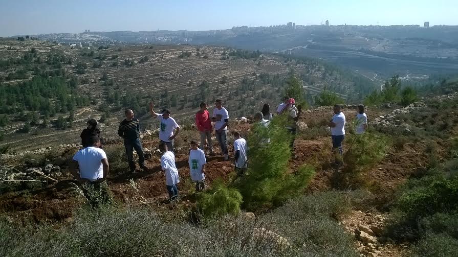 مشروع "ازرع شجرة لك في القدس" يزرع أراضي بيت سوريك بالزيتون