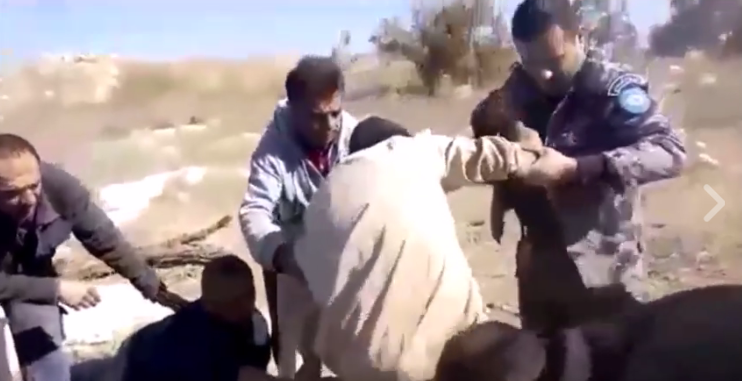 فيديو| الدفاع المدني الفلسطيني ينقذ مستوطنا سقط في بئر