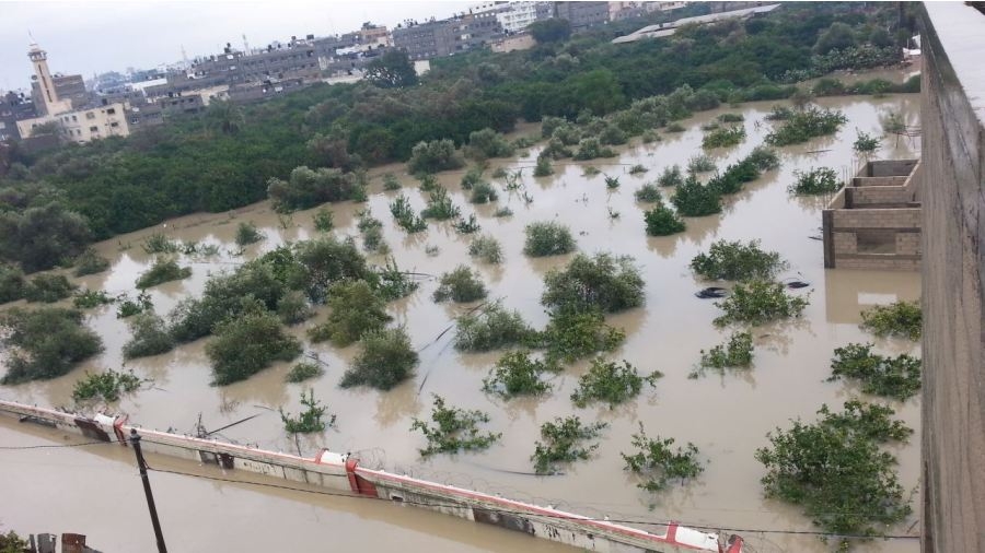 إرشادات هامة للمزارعين لتفادي أضرار العاصفة العاصفة