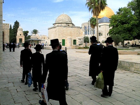 جماعات يهودية تقتحم الأقصى اقتحام الاقصى