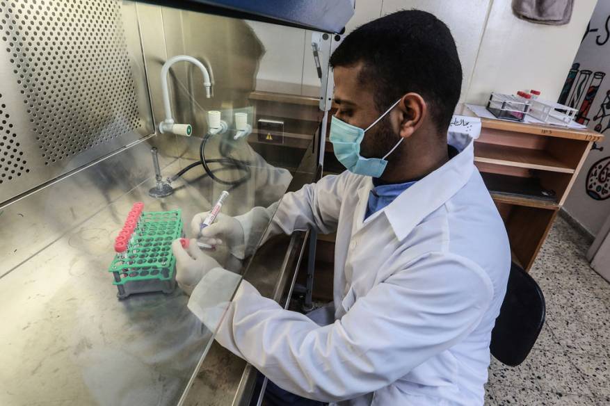 كورونا في غزة: 8 حالات وفاة و( 232 ) إصابة جديدة بفيروس كورونا