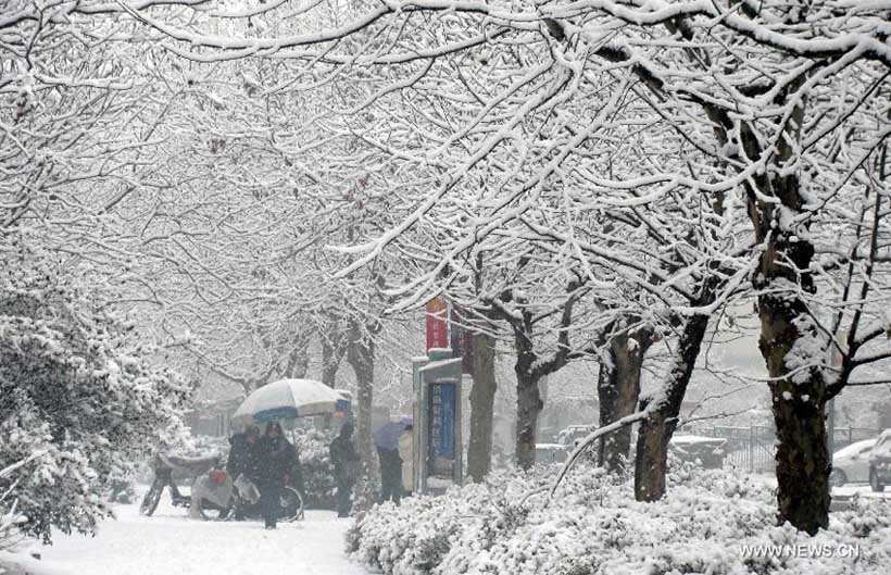 موجة جديدة الجمعة والثلوج ستطال أغلب المرتفعات المتوسطة ثلوج