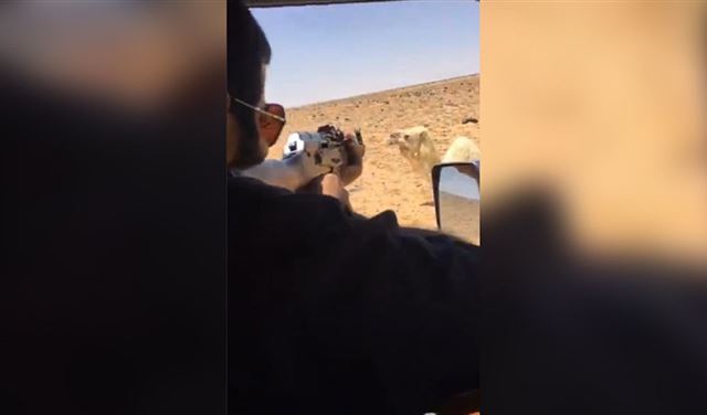 قتل
