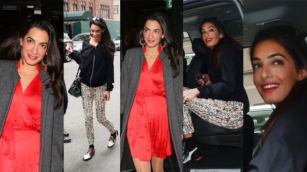 أمل علم الدين