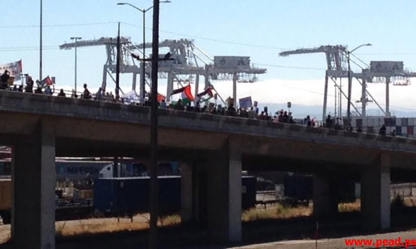 كاليفورنيا: منع سفينة إسرائيلية من تفريغ حمولتها وطردها من ميناء أوكلاند أوكلاند