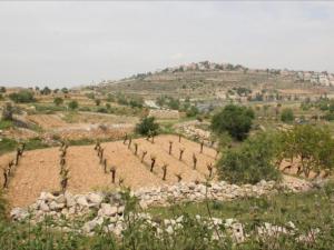 غور الاردن