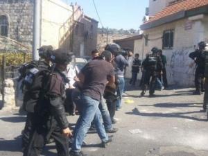 صورة توضيحية