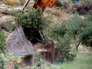 اخبار فلسطين