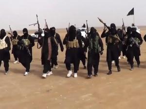 العداء لداعش
