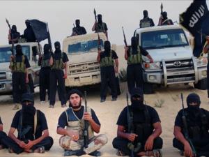 ولاية سيناء