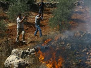 صورة تعبيرية