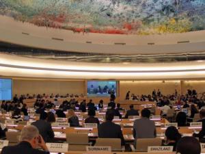 مجلس حقوق الإنسان