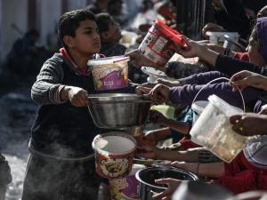 حرب غزة: مجازر مستمرة وانهيار منظومة الغذاء مع انطلاق جلسات التفاوض في قطر