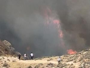حريق ضخم في وادي القلط بين أريحا والقدس... مئات المتنزهين في المنطقة