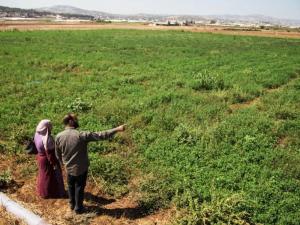 سلطة الأراضي تُصادق على 16 حوض تسوية في الخليل وبيت لحم وتصدر 1280 سند تسجيل