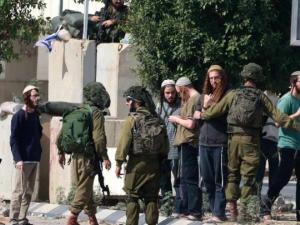 تهجير أكثر من 900 فلسطيني خلال يناير بسبب عنف المستوطنين في الضفة