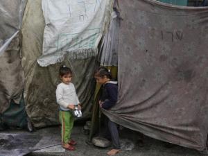 مقرر أممي: تجويع سكان غزة مأساة لن تنتهي بنهاية الحرب