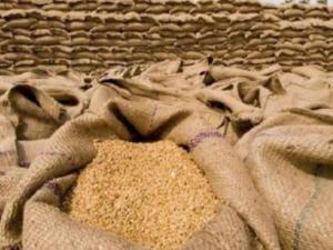 الاقتصاد ونقابة أصحاب المخابز: المخزون الاستراتيجي من القمح والطحين آمن ويغطي احتياجات المواطنين ولا تغيير على الأسعار