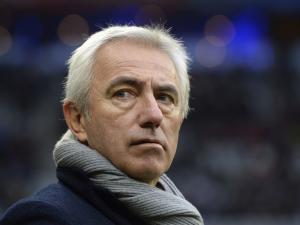 الهولندي فان مارفيك مدربًا للمنتخب السعودي