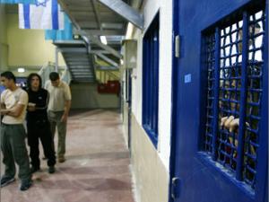 عدد المعتقلين 