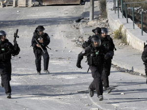 18 بقرة مطلوبة لإسرائيل