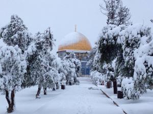 اخبار فلسطين