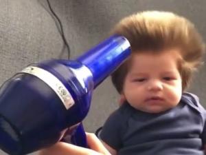 الإنترنت