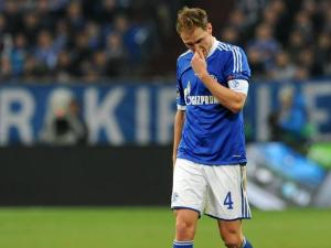 هوفيديس باق مع شالكه