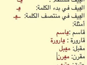 القيف
