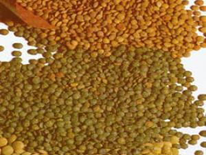 تخفيف الوزن