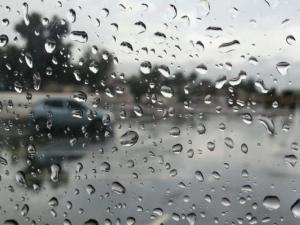 حالة الطقس: ماطر وبارد
