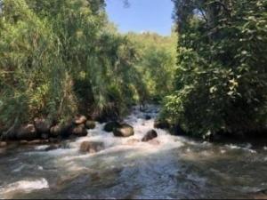 حالة الطقس: أجواء ربيعية وانخفاض طفيف على الحرارة