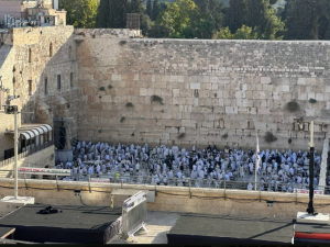 في أول أيام ما يسمى بـ "عيد العرش".. مستوطنون يؤدون طقوساً تلمودية في البلدة القديمة